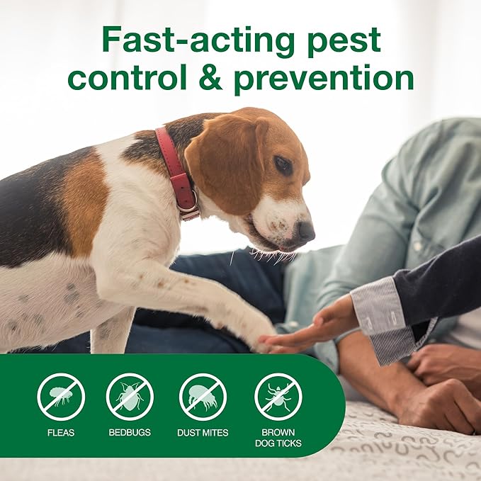 Advantage Carpet & Upholstery Spot Spray | Kills Fleas & Ticks & Bedbugs | 16 oz.