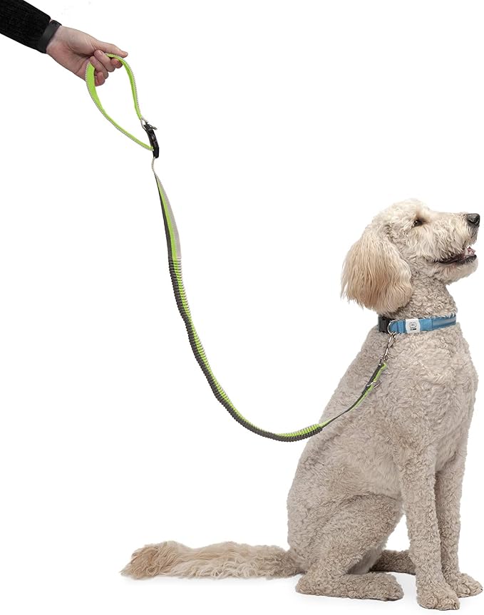 Furhaven Bungee Dog Leash w/ Quick Release Easy Tether - Volt Stripe, One Size