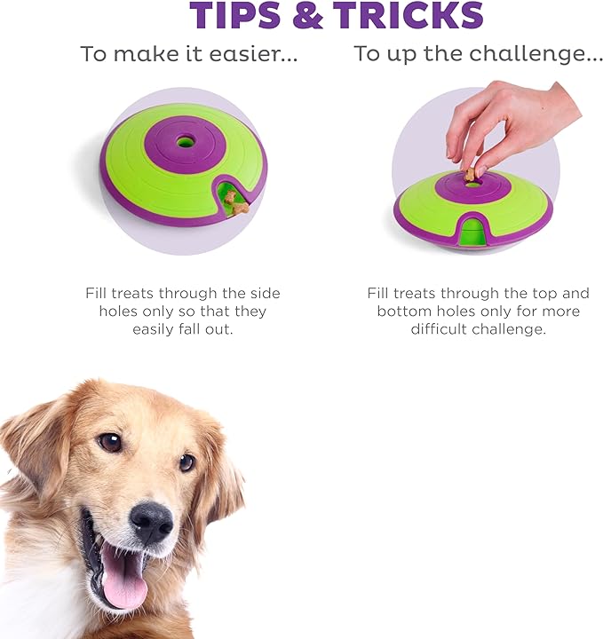 Outward Hound Nina Ottosson Dog Treat Maze Dog Puzzle Interactive Treat Puzzle Dog Enrichment Dog Toy, Level 2 Intermediate, Green