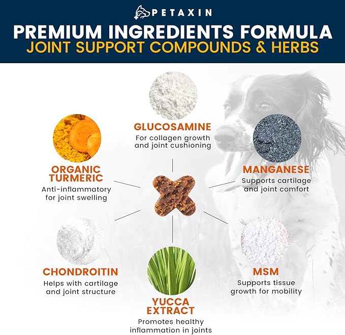 Glucosamine for Dogs – Advanced Hip and Joint Supplement for Dogs - Dog Joint Supplement for Joint Pain Relief and Mobility – Dog Glucosamine with Chondroitin, MSM, Turmeric - 120 Soft Chews