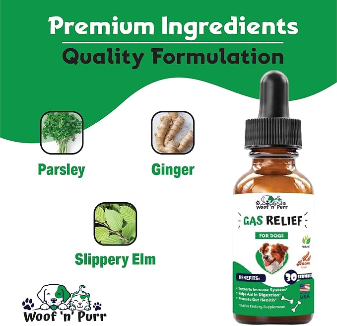 Natural Gas Relief for Dogs - Dog Gas Relief - Dog Constipation Relief - Constipation Relief for Dogs - Dog Gas - Dog Constipation - Dog Gas Aid - Dog Vitamins and Supplements - 1 fl oz - Bacon Flavor
