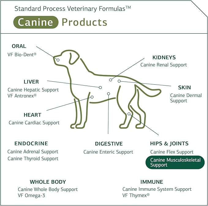 Standard Process - Canine Musculoskeletal Support - 1 Oz