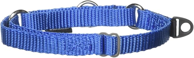 PetSafe Martingale Collar, 3/8" Petite, Royal Blue