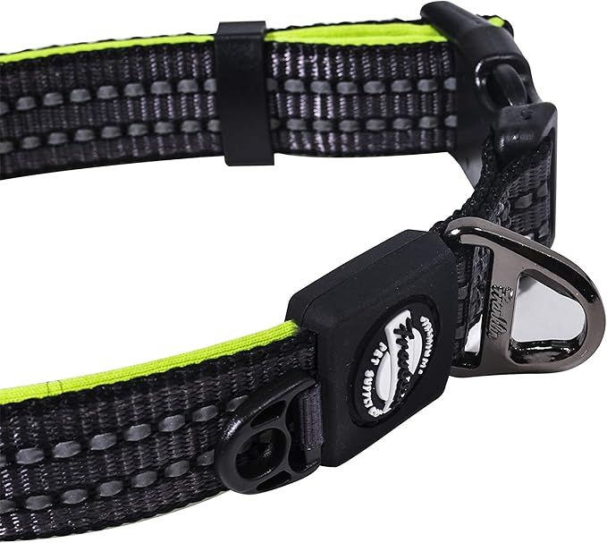 Nylon Dog Collar – Reflective – Franklin Pet Supply Co™ – Comfort Fit – Neoprene – Adjustable – Large – Green