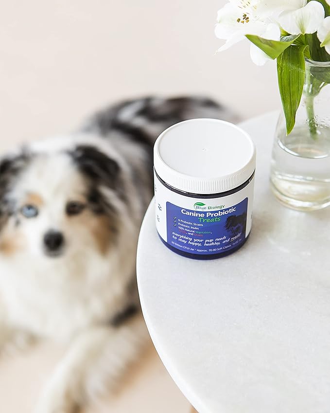 Canine Probiotic Chews for Dogs - Vet Formulated for Digestive & Diarrhea Support - Dog Probiotics for Diarrhea - Probiotics Dog Treats - Dog Digestive Support - Canine Probiotic - (60ct)