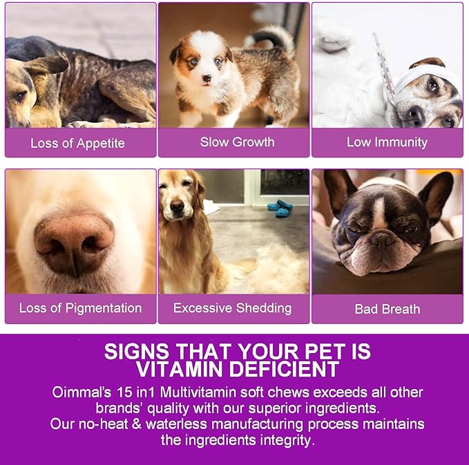 15-in-1 Dog Multivitamin Supplements with Glucosamine & Probiotics,Natural Daily Vitamins Chews for Dogs,Pet Health Support-Skin-Immunity-Gut Digestion-Joint-Heart,150 Pcs-Duck Flavor