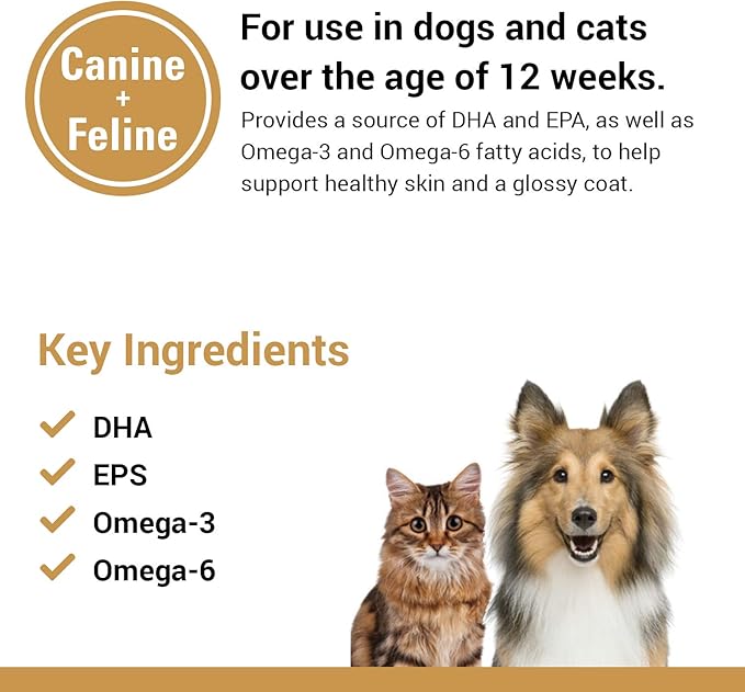 Vet Classics Salmon Oil Pet Supplement for Healthy Skin, Glossy Coats – Dog Coat Supplement, Cat Skin Supplement – Includes Omega-3, 6, 9, Source of DHA, EPA – Soft Chews 90 Ct.