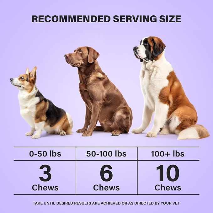 Charlie & Buddy Dog Multivitamin 21 in1 - Dog Vitamins and Supplements with Vitamin C Multivitamin for Dogs - Chicken Flavour Dog Vitamins Soft Chews - 90ct