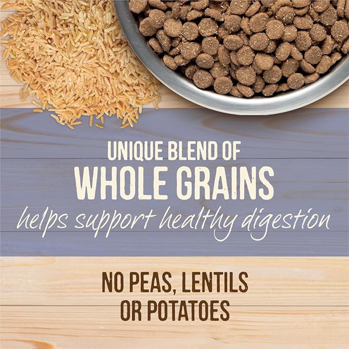 Merrick Healthy Grains Freeze Dried Raw Coated Kibble, Natural High Protein Puppy Food, Chicken and Brown Rice - 10.0 lb. Bag