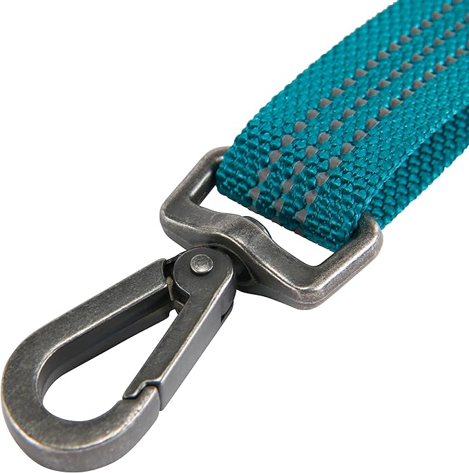 Carhartt Pet Durable Nylon Webbing Leashes for Dogs, Reflective Stitching for Visibility, Shaded Spruce, Large