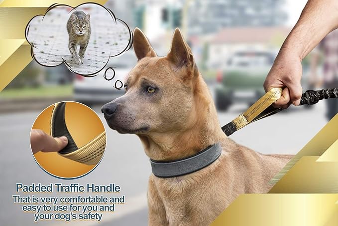 SparklyPets Hands Free Dog Leash for Medium and Large Dogs – Professional Harness with Reflective Stitches for Training, Walking, Jogging and Running Your Pet (Premium Gold Champagne, for 1 Dog)
