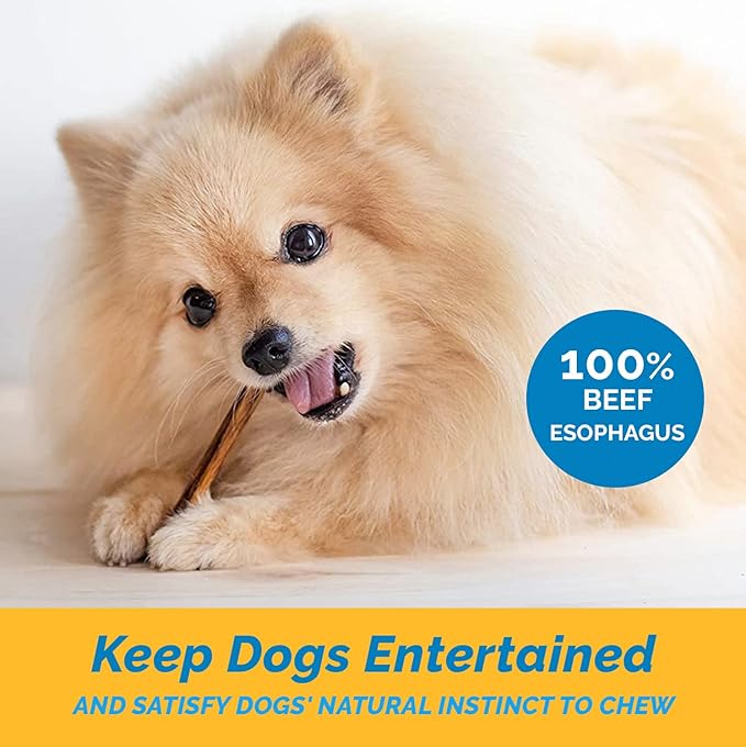 Beef Sticks for Dog - 100% Natural Esophagus Healthy Chews - Meat Jerky Snack for Dogs (6" - 10 Count Sticks)