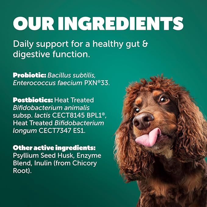Daily Care Gut+ Digestive, 60 probiotic and postbiotic Dog Supplement Chews – Chicken and Carob Flavored