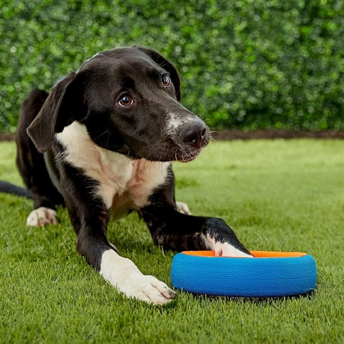 Chuckit Fetch Wheel Outdoor Dog Toy, Small, For Small Breeds