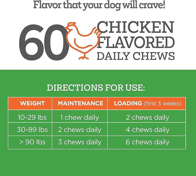 Well Chews | Soft Chew Supplements for Dogs | 60 Count | Made in USA (Hip + Joint)