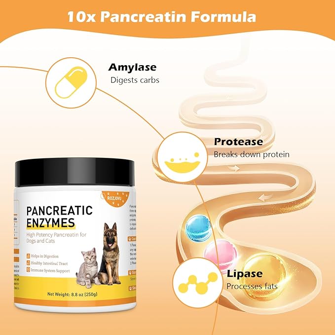 8.8 Ounces Pancreatic Enzymes for Dogs | 10x Pancreatin Formula |Dog Digestive Enzymes for EPI Pets | Support Digestive Stress, Pancreatic Concerns, and Healthy Weight Management