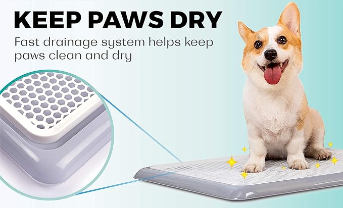 Pet Awesome Dog Potty Tray/Puppy Pee Pad Holder 25”x20” Indoor Wee Training for Small and Medium Dogs