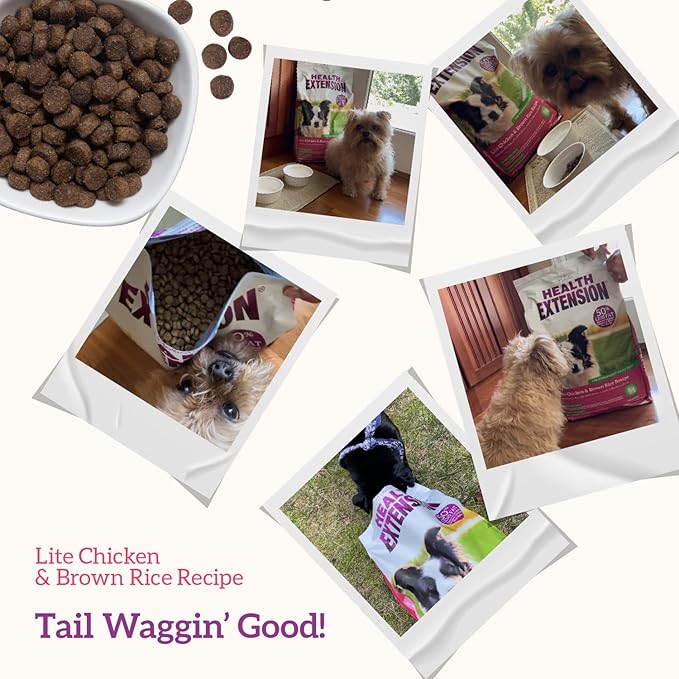 Health Extension Weight Control Dry Dog Food, Natural Food for Overweight Adult Dogs with added Vitamins & Mineral, Lite Chicken & Brown Rice Recipe (15 lbs / 6.8 kg)