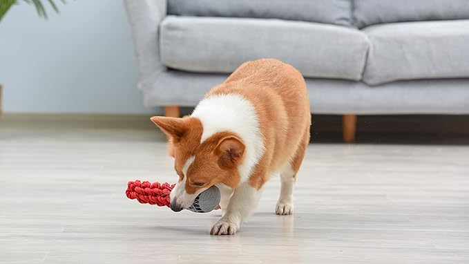 Star Wars for Pets Red Lightsaber Oxford Rope Squeak Chew Toy for Dogs | Tug Toy for Dogs | Lightsaber Toy for Dogs, Pet Squeaky Dog Toys, Dog Chew Toys, Sturdy Rope Dog Toys