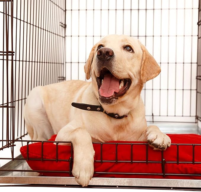 KOPEKS - Heavy Duty Multipurpose Replacement Metal Tray - Galvanized - Rust & Crack Proof - Several for Pet Crates, Grease Trap and others (32 x 23 Inches, Metal Tray)