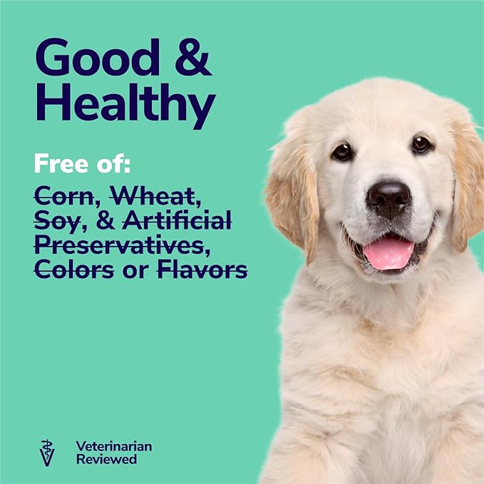 Probiotics for Dogs | Soft Dog Probiotics and Digestive Enzymes for Diarrhea, Gut Health, Itching Skin, Licking Paws | 60 Dog Probiotic Chews | Dog Health Supplies, Pet Supplies for Dogs