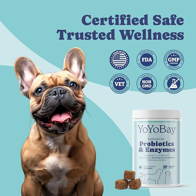 Probiotics for Dogs, Dog Probiotics and Digestive Enzymes, Pre & Probiotics Over 1 Billion CFUs, for Gut Health and Digestive Health, Itchy Skin Relief, Immune Support, 90 Soft Chews