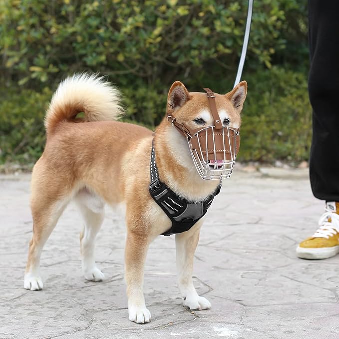 Dog Muzzle, Dog Metal Face Basket, Dog Mouth Breathable Adjustable Leather Leash Suitable for Large Medium-Sized Dogs (BrownM)