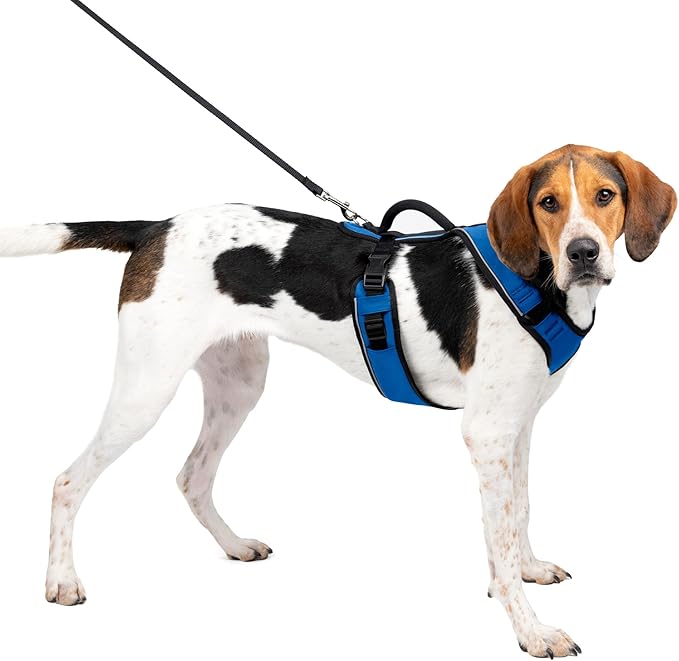 PetSafe EasySport Dog Harness – Adjustable, Padded Dog Harness with Control Handle and Reflective Piping – Large, Blue