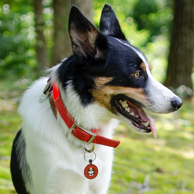 MYLUCKYTAG QR Code Pet ID Tags Dog Tags - Pet Online Profile - Scan QR Receive Instant Pet Location Alert Email