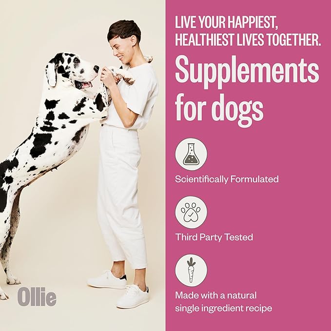 Ollie Sweet Potato Jerky Slices Recipe Dog Treats - Dog Jerky Treats All Natural - Vegan - Healthy Dog Treats - Sweet Potato Jerky for Dogs - Dog Treats 5 Oz.