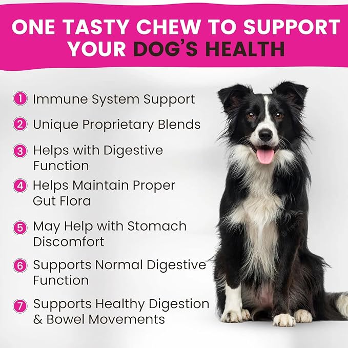 Digestive Support Probiotics, Prebiotics, Postbiotics for Dogs | Soft Chews Supplements for Itchy Skin, Ears, Paw Licking | Natural Enzymes for Canine Gut Health, Diarrhea & Bowel Support