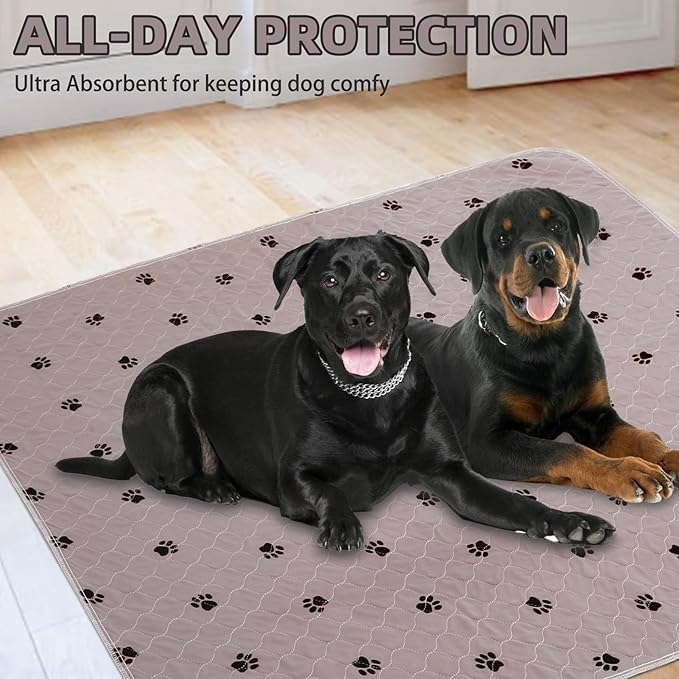 PUPTECK Washable Pee Pads for Dogs - 1 Packs Waterproof Reusable Puppy Potty Training Pads Whelping Mat 72" x 72â- Fast Absorption Non-Slip Pet Food Feeding Mat, Extra Large
