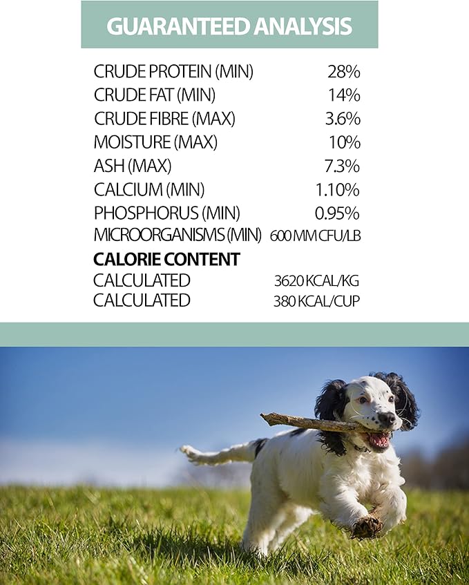 Complete Whole Grain, Non GMO, Meat Dense Large Breed Puppy Dry Dog Food, 25 lb Bag, (CLBP11)