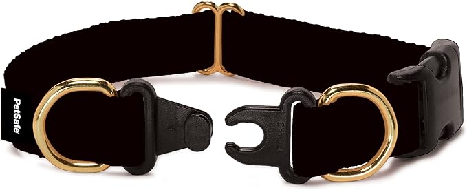 PetSafe KeepSafe Break-Away Collar, Prevent Collar Accidents for Your Dog or Puppy, Improve Safety, Compatible with Leash Use, Adjustable Sizes