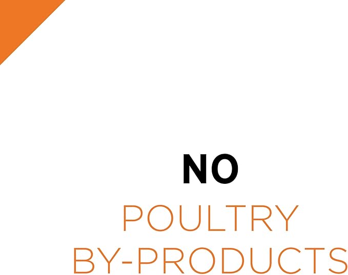 Purina Pro Plan Grain Free Dog Food Wet Pate, Turkey and Sweet Potato Entree - (Pack of 12) 13 oz. Cans
