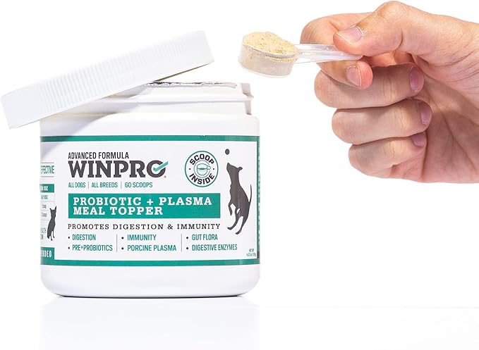 WINPRO Dog Probiotic Powder Meal Topper, Spray Dried Plasma with Prebiotics and Probiotics for Digestive Support and Gut Health for Dogs, All Breeds, Ages, and Sizes, 60 Scoops, Made in USA