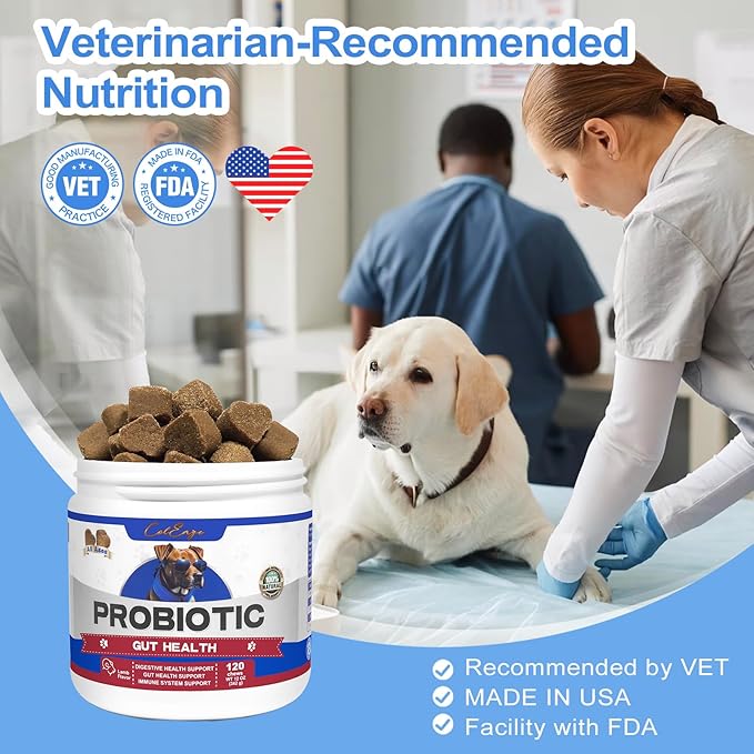 Probiotics for Dogs, Organic Pumpkin with 6 Digestive Enzymes, Providing Probiotics for Gut Flora, Digestive Health, Occasional Diarrhea, 120 Count Lamb Flavor