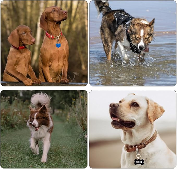 3PCS Dog Tag Clip, Ring Pet Tag Clip for Collar Personalized Dog Name Tag Heavy Duty Quick Clip Dog Tags Dog ID Tag Clip for Cat Dog Harnesses Collar Accessories