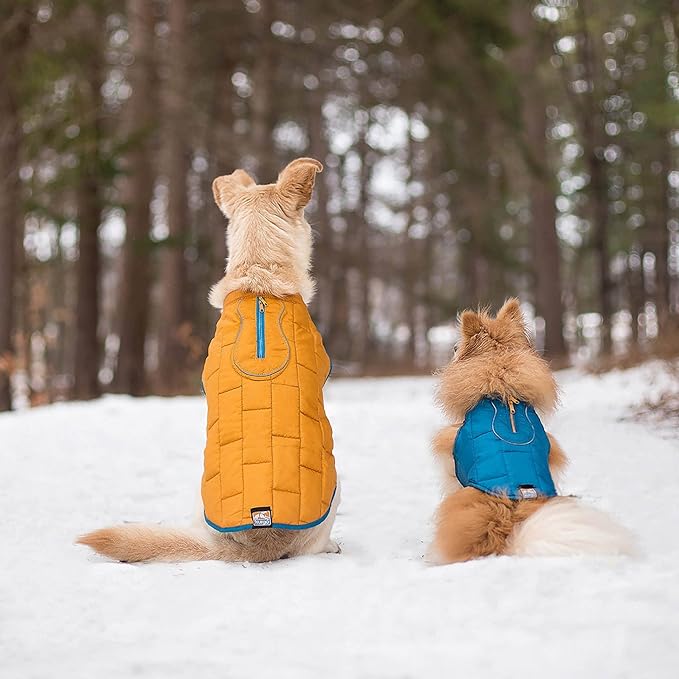 Kurgo Loft Dog Jacket, Reversible Dog Coat, Wear with Harness or Sweater, Water Resistant, Reflective, Winter Coat for Small Dogs (Coastal Blue, XS)