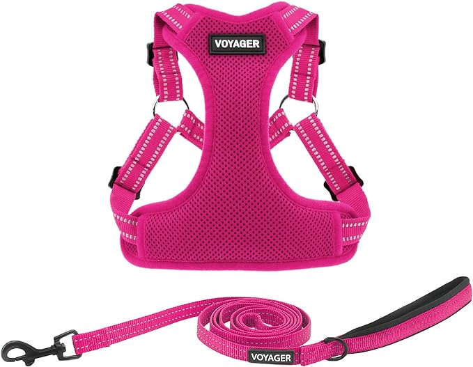 Best Pet Supplies Voyager Adjustable Dog Harness Leash Set with Reflective Stripes for Walking Heavy-Duty Full Body No Pull Vest with Leash D-Ring, Breathable All-Weather - Harness (Fuchsia), L