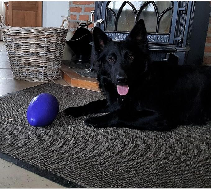 Jolly Pets Jolly Egg Plastic Dog Chew Toy 8 inch Purple