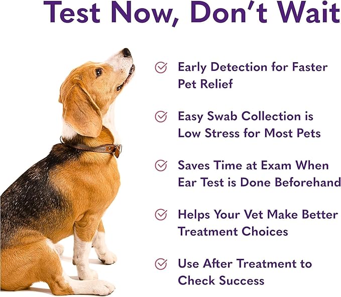 MySimplePetLab Dogs Ear Infection Test Kit | Fast and Accurate Detection of Yeast and other Ear Irritations| Reliable Mail-in Dog Ear Care Test for Smelly, Itchy, or Sore Ears