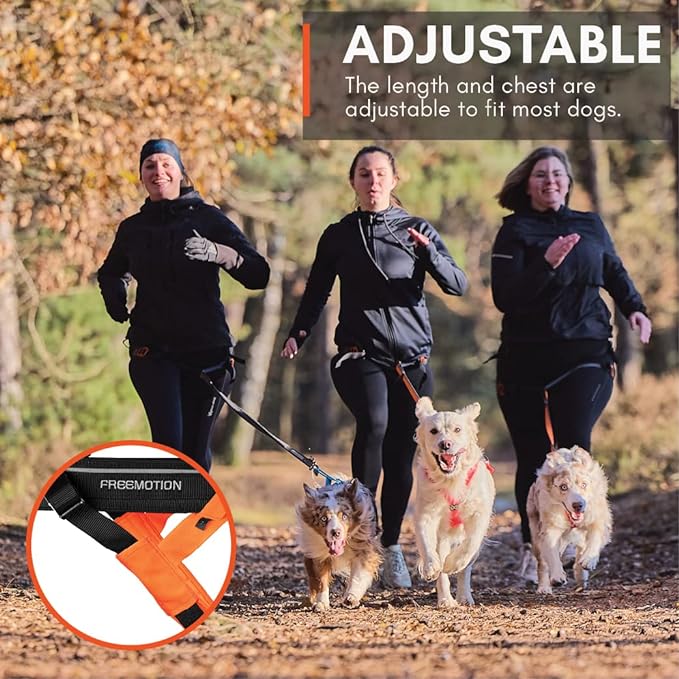 Non-stop dogwear Freemotion harness 5.0 Dog Pulling Harness for Sports like Running, Biking and Skiing with Dogs, Professional Adjustable Dog Harness, Orange/Black, Size 6