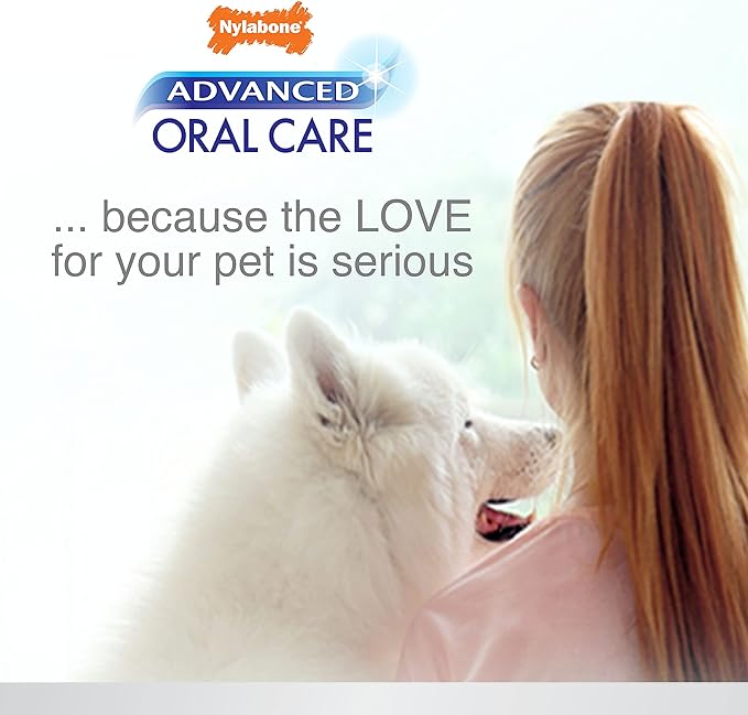 Nylabone Advanced Oral Care Tartar Control Dog Toothpaste Original 2.5 oz. (1 Count)