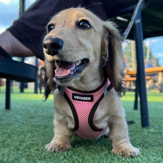 Voyager Step-In Air Dog Harness - All Weather Mesh Step In Vest Harness For Small And Medium Dogs By Best Pet Supplies - Pink Base, S