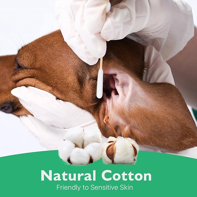 300 Pieces Cotton Swabs for Dogs, 6 Inch Pet Cotton Ear Buds for Puppy Long Qtips for Dogs Ear Cotton Buds Dog Ear Care Cotton Sticks for Apply Medicine, Clean Wound