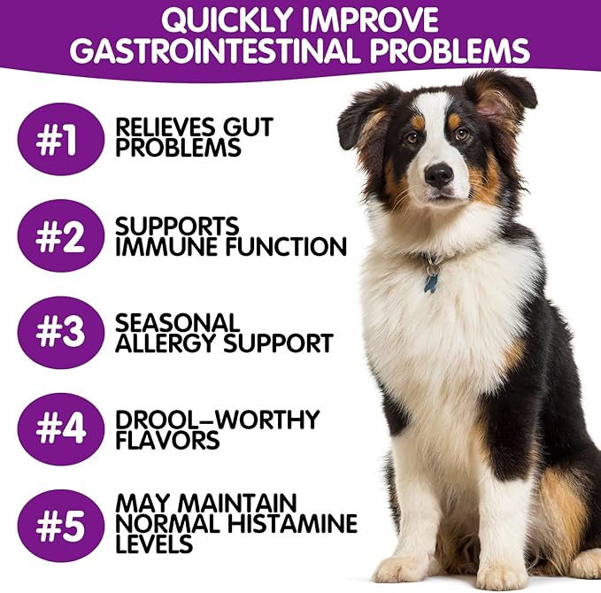 Probiotics for Dogs,Dog Probiotics for Digestive Enzymes,Gut Health,Itchy Skin,Allergies,Yeast Balance,Probiotics Chew for Dogs,Dog Probiotics for Small,Medium,Large Dogs,120 Count,Peking Duck Flavor