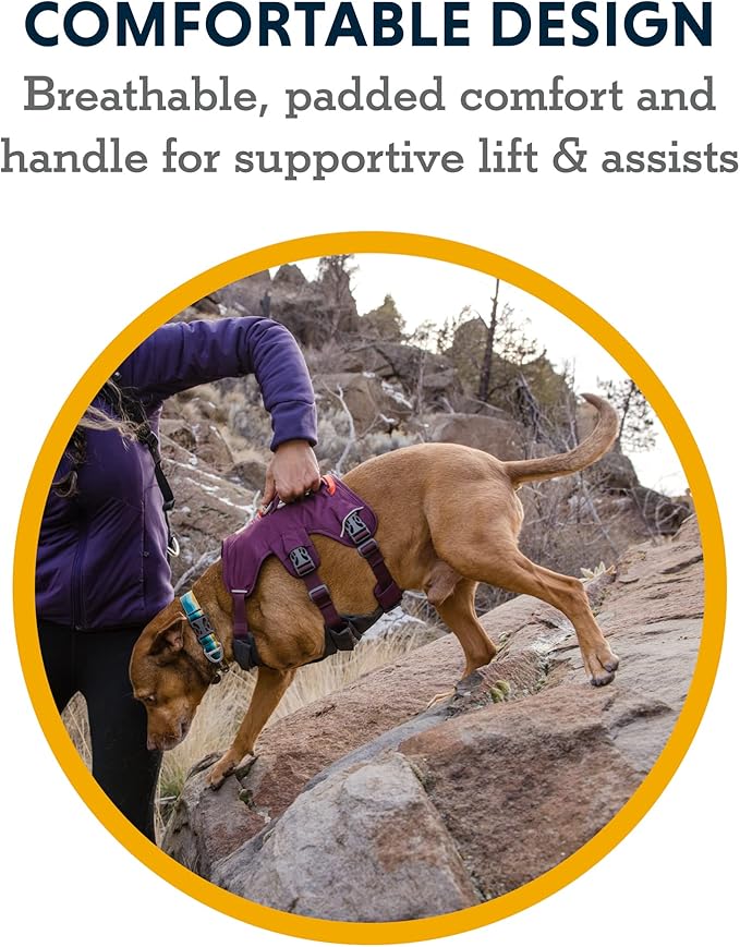 Ruffwear, Web Master, Multi-Use Support Dog Harness, Hiking and Trail Running, Service and Working, Everyday Wear, Slate Blue, XX-Small