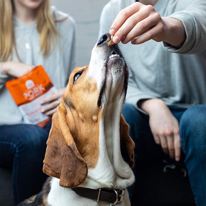 Open Farm Dehydrated Turkey Grain-Free Dog Treats, Gently Cooked Turkey Recipe with Natural Simple Ingredients and No Artificial Flavors or Preservatives, 4.5 oz