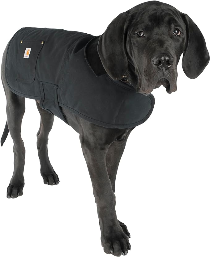 Carhartt Firm Duck Insulated Dog Chore Coat Black, Large